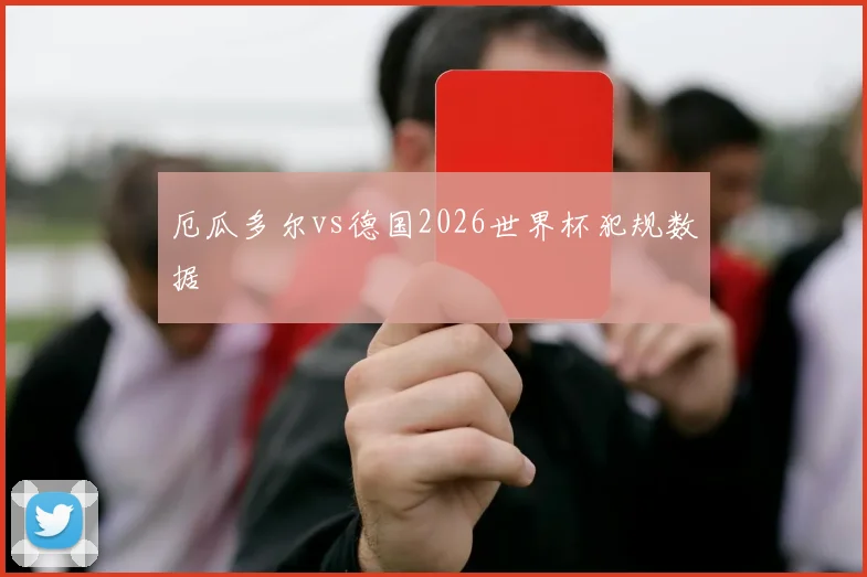 厄瓜多尔vs德国2026世界杯犯规数据