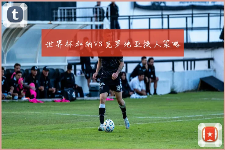 世界杯加纳vs克罗地亚换人策略