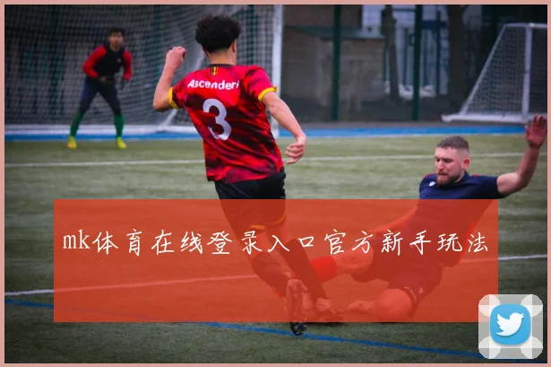 mk体育在线登录入口官方新手玩法