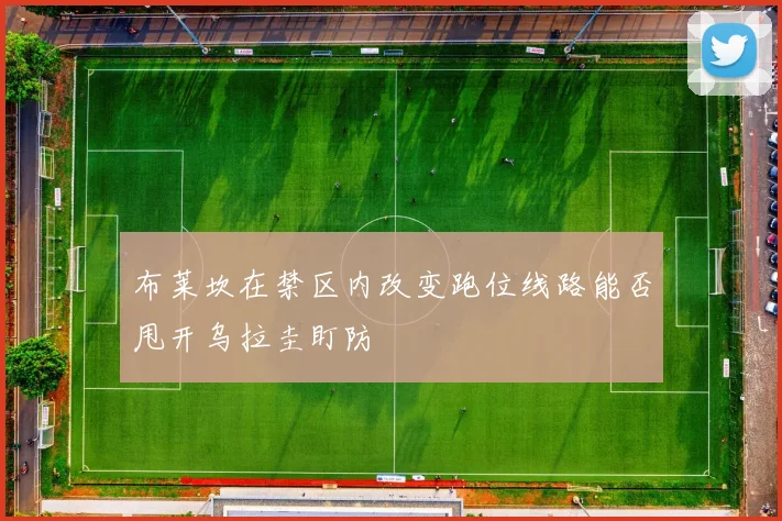 布莱坎在禁区内改变跑位线路能否甩开乌拉圭盯防