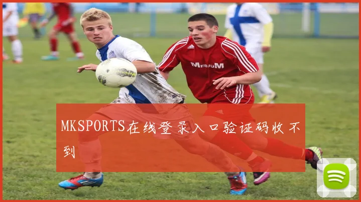 MKSPORTS在线登录入口验证码收不到