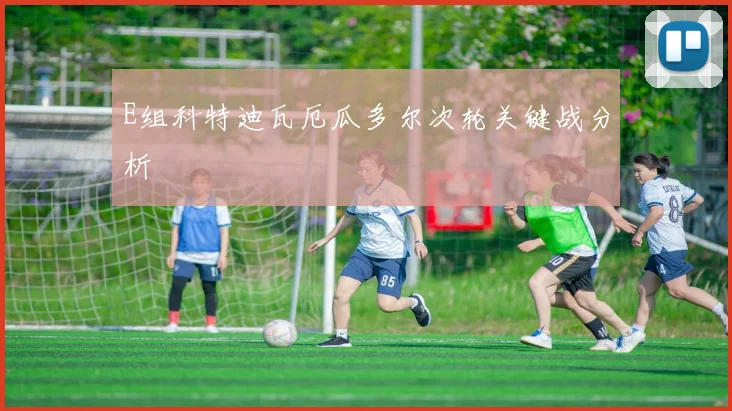 E组科特迪瓦厄瓜多尔次轮关键战分析