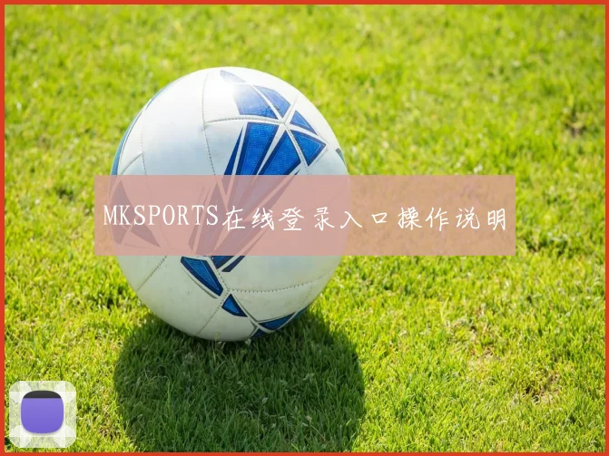 MKSPORTS在线登录入口操作说明